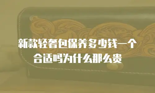 新款轻奢包保养多少钱一个合适吗为什么那么贵