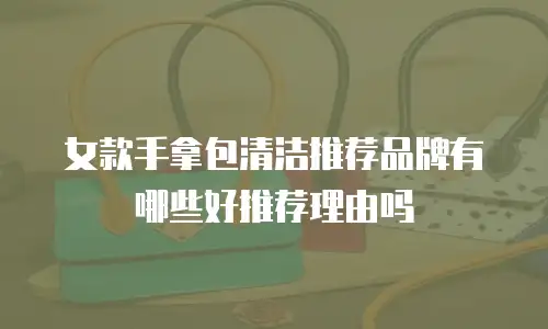 女款手拿包清洁推荐品牌有哪些好推荐理由吗