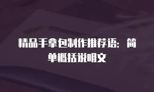 精品手拿包制作推荐语：简单概括说明文