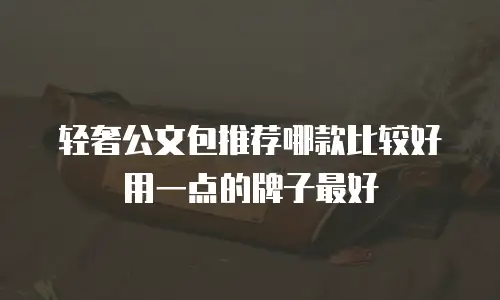 轻奢公文包推荐哪款比较好用一点的牌子最好