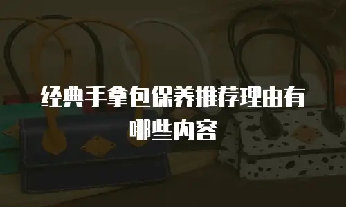 经典手拿包保养推荐理由有哪些内容