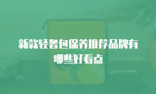 新款轻奢包保养推荐品牌有哪些好看点