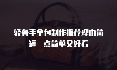 轻奢手拿包制作推荐理由简短一点简单又好看