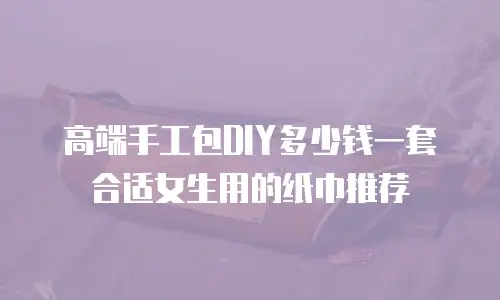 高端手工包DIY多少钱一套合适女生用的纸巾推荐