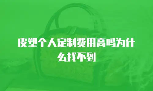 皮塑个人定制费用高吗为什么找不到