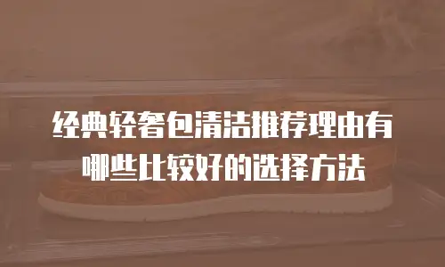 经典轻奢包清洁推荐理由有哪些比较好的选择方法