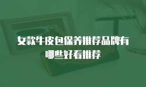 女款牛皮包保养推荐品牌有哪些好看推荐