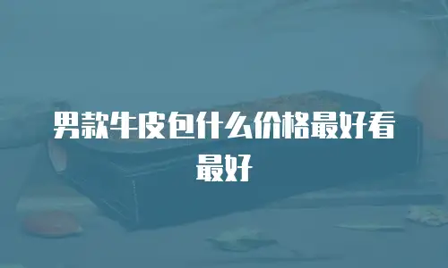 男款牛皮包什么价格最好看最好