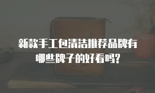 新款手工包清洁推荐品牌有哪些牌子的好看吗?