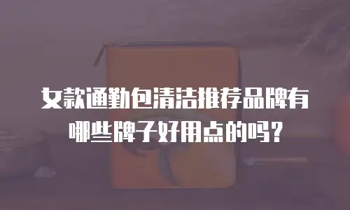 女款通勤包清洁推荐品牌有哪些牌子好用点的吗？