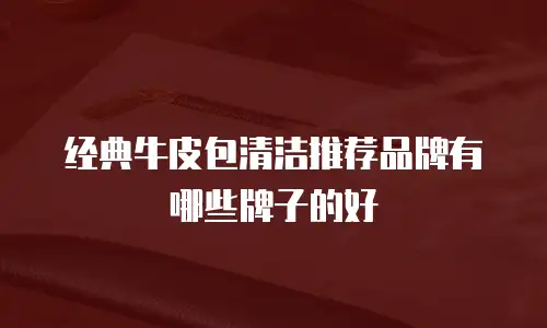 经典牛皮包清洁推荐品牌有哪些牌子的好