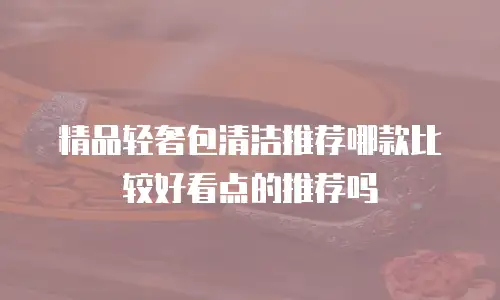 精品轻奢包清洁推荐哪款比较好看点的推荐吗