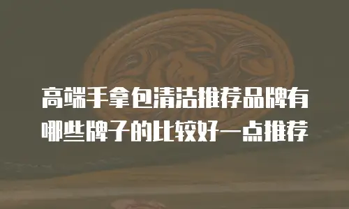 高端手拿包清洁推荐品牌有哪些牌子的比较好一点推荐