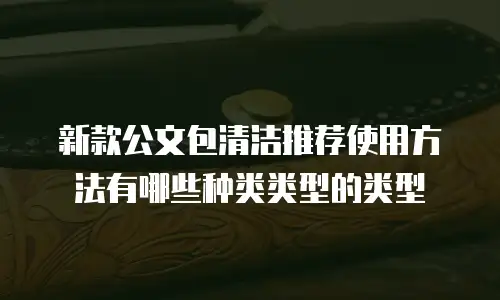 新款公文包清洁推荐使用方法有哪些种类类型的类型