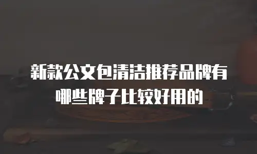 新款公文包清洁推荐品牌有哪些牌子比较好用的