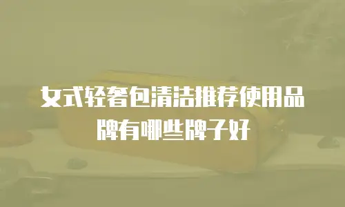 女式轻奢包清洁推荐使用品牌有哪些牌子好
