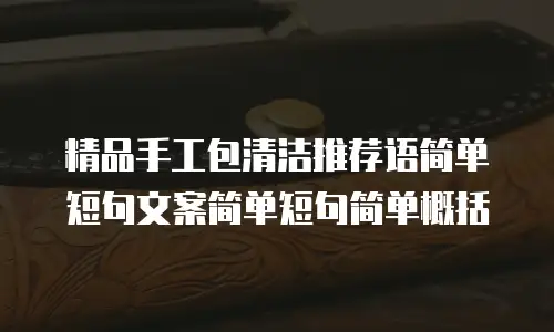 精品手工包清洁推荐语简单短句文案简单短句简单概括