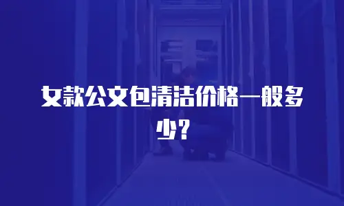 女款公文包清洁价格一般多少？