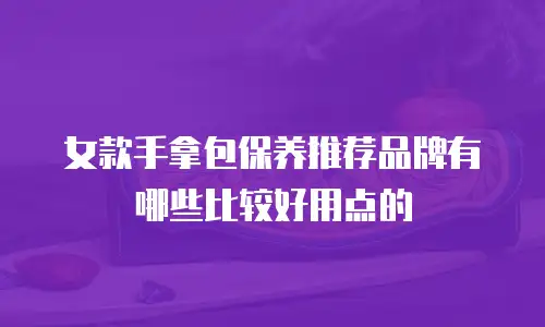 女款手拿包保养推荐品牌有哪些比较好用点的