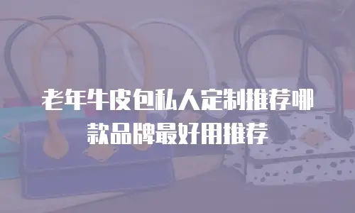 老年牛皮包私人定制推荐哪款品牌最好用推荐