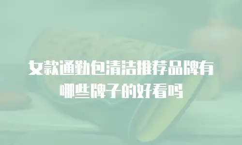 女款通勤包清洁推荐品牌有哪些牌子的好看吗