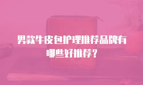 男款牛皮包护理推荐品牌有哪些好推荐？