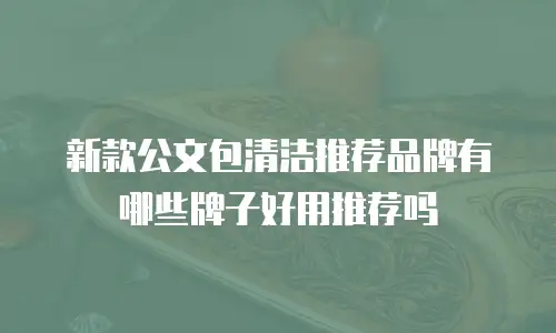 新款公文包清洁推荐品牌有哪些牌子好用推荐吗