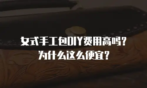 女式手工包DIY费用高吗？为什么这么便宜？