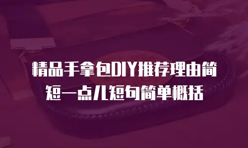 精品手拿包DIY推荐理由简短一点儿短句简单概括