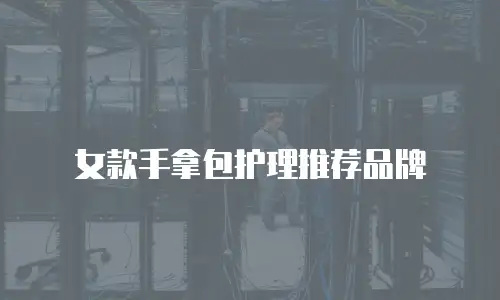 女款手拿包护理推荐品牌