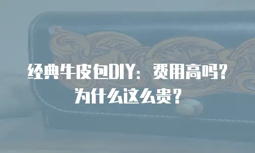 经典牛皮包DIY：费用高吗？为什么这么贵？