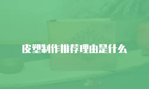 皮塑制作推荐理由是什么