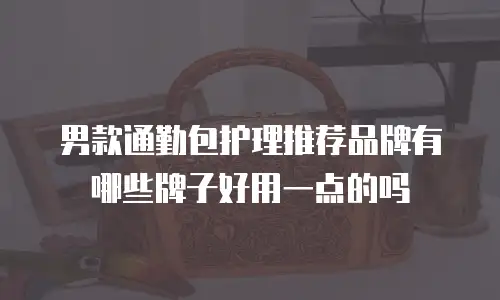 男款通勤包护理推荐品牌有哪些牌子好用一点的吗