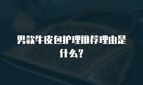 男款牛皮包护理推荐理由是什么？