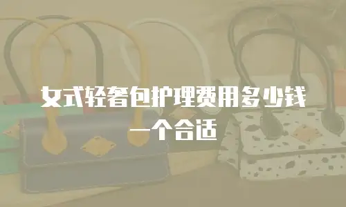 女式轻奢包护理费用多少钱一个合适