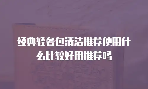 经典轻奢包清洁推荐使用什么比较好用推荐吗