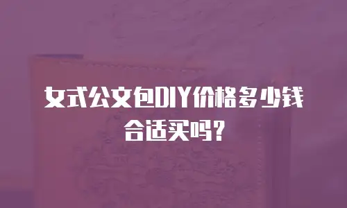 女式公文包DIY价格多少钱合适买吗？