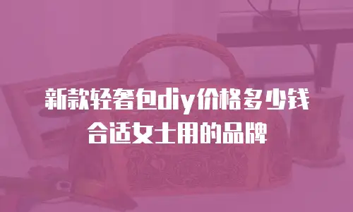 新款轻奢包diy价格多少钱合适女士用的品牌