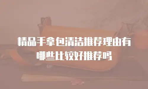 精品手拿包清洁推荐理由有哪些比较好推荐吗