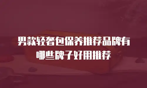 男款轻奢包保养推荐品牌有哪些牌子好用推荐