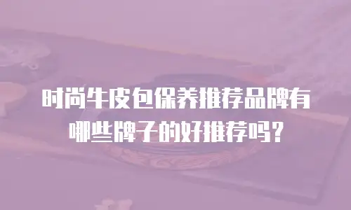时尚牛皮包保养推荐品牌有哪些牌子的好推荐吗？