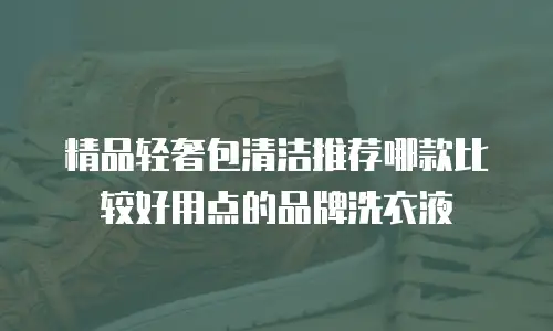 精品轻奢包清洁推荐哪款比较好用点的品牌洗衣液