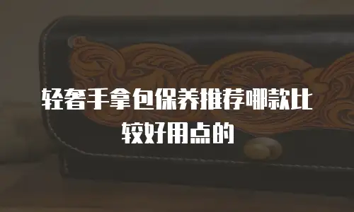 轻奢手拿包保养推荐哪款比较好用点的
