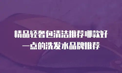 精品轻奢包清洁推荐哪款好一点的洗发水品牌推荐