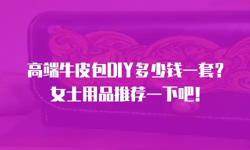 高端牛皮包DIY多少钱一套？女士用品推荐一下吧！