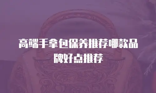 高端手拿包保养推荐哪款品牌好点推荐