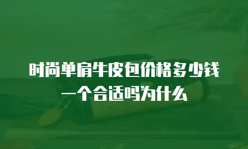 时尚单肩牛皮包价格多少钱一个合适吗为什么