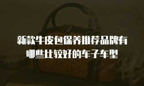 新款牛皮包保养推荐品牌有哪些比较好的车子车型