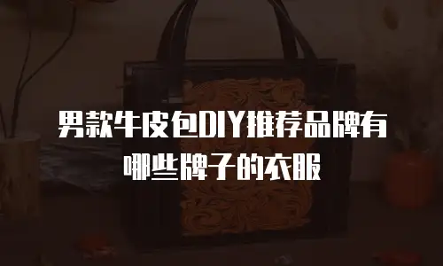 男款牛皮包DIY推荐品牌有哪些牌子的衣服