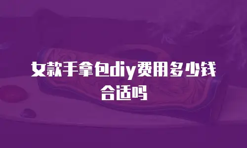 女款手拿包diy费用多少钱合适吗